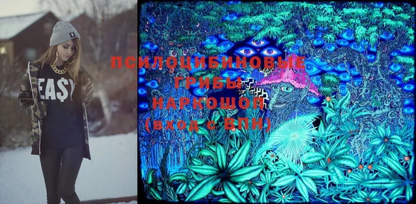 дурь Белоозёрский