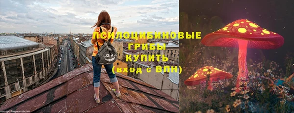 дурь Белоозёрский