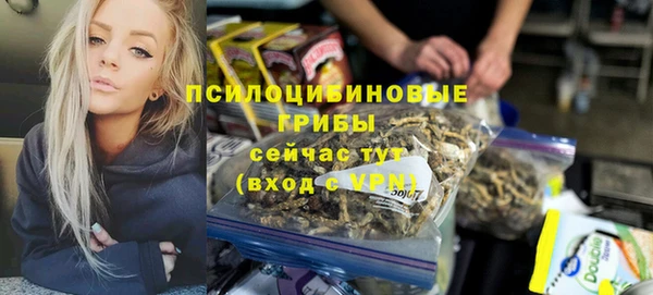jwh Белокуриха