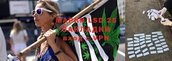 гашик Беломорск