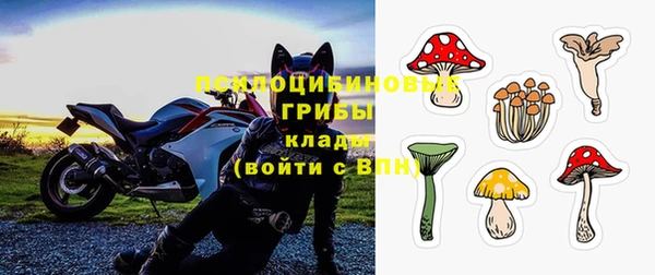 гашик Беломорск